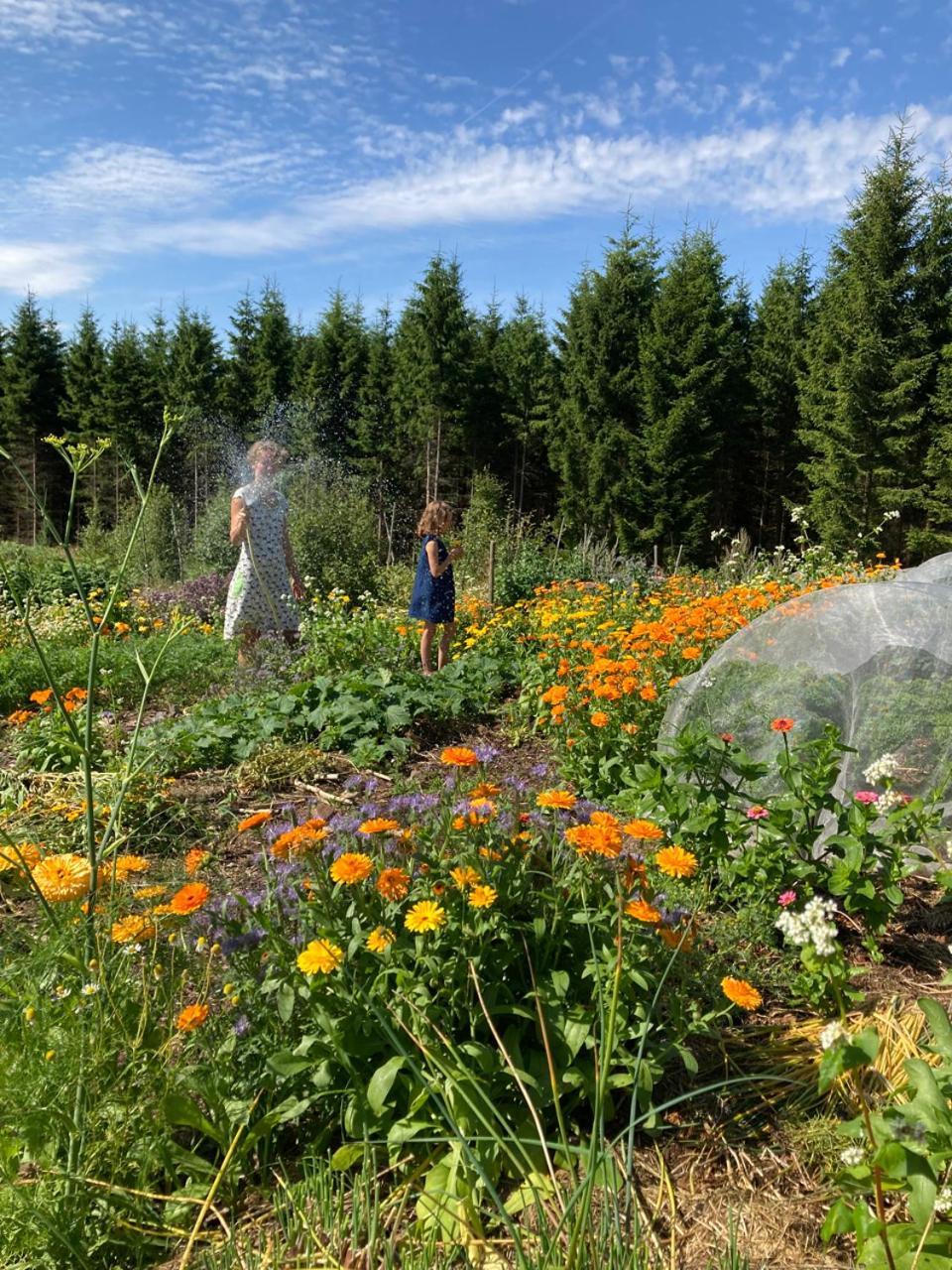 Escape To Paulssonpaleo Panzió Simlångsdalen Kültér fotó