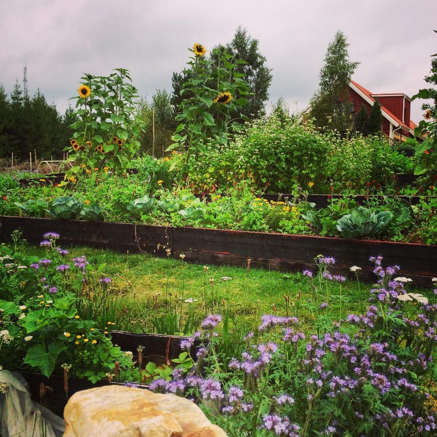 Escape To Paulssonpaleo Panzió Simlångsdalen Kültér fotó