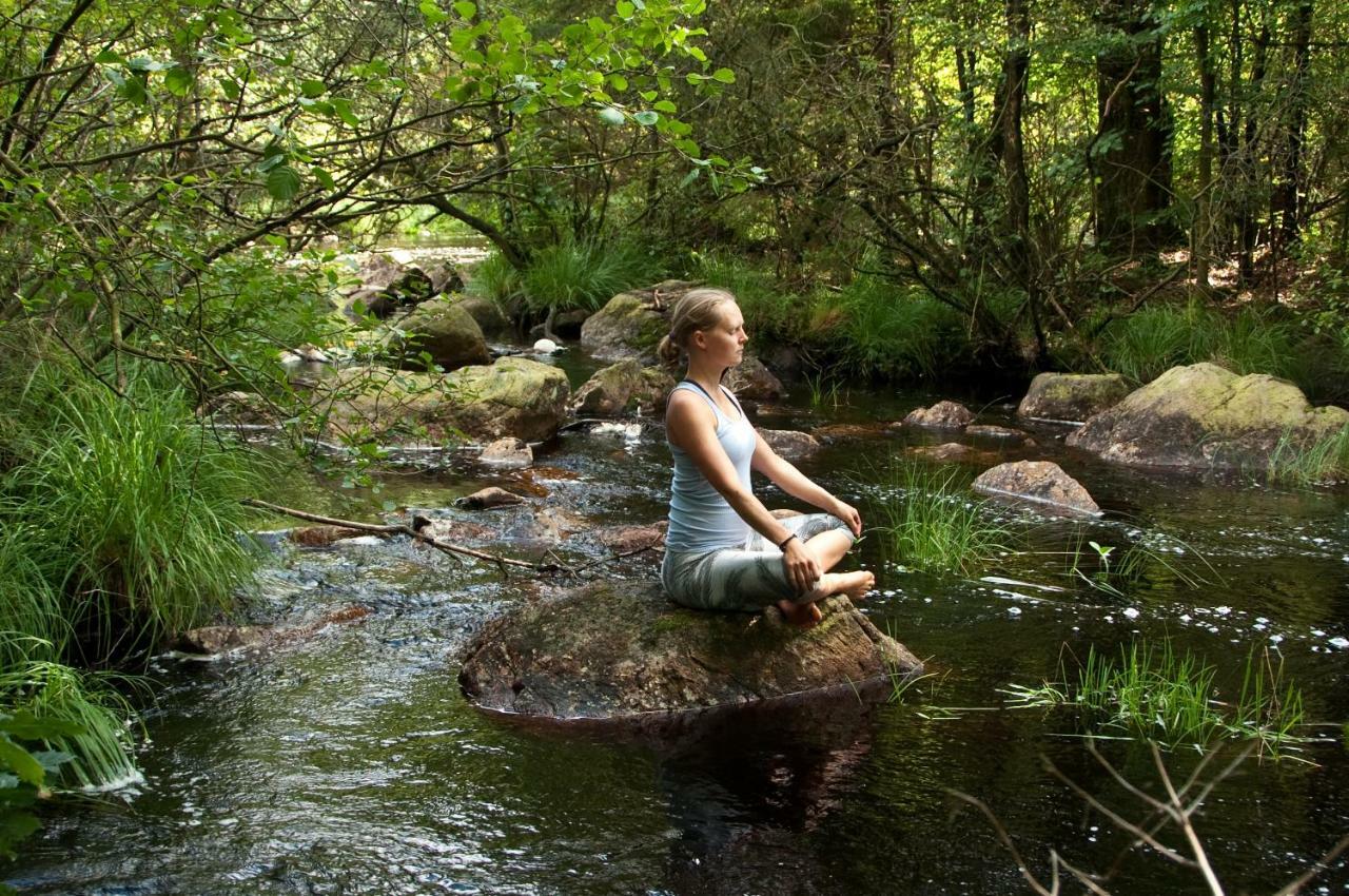 Escape To Paulssonpaleo Panzió Simlångsdalen Kültér fotó