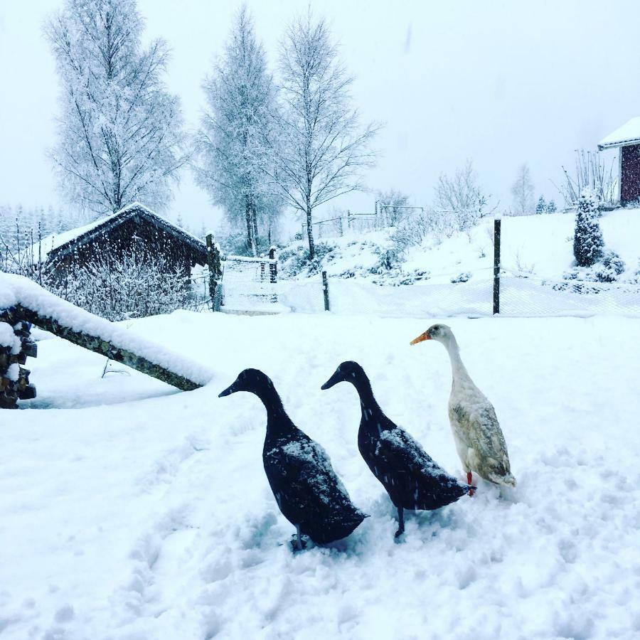 Escape To Paulssonpaleo Panzió Simlångsdalen Kültér fotó