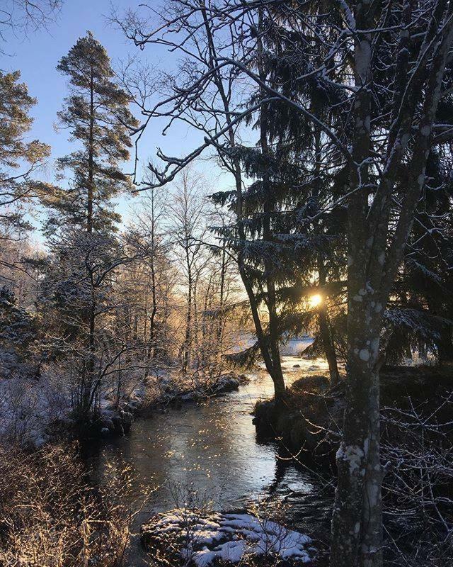 Escape To Paulssonpaleo Panzió Simlångsdalen Kültér fotó