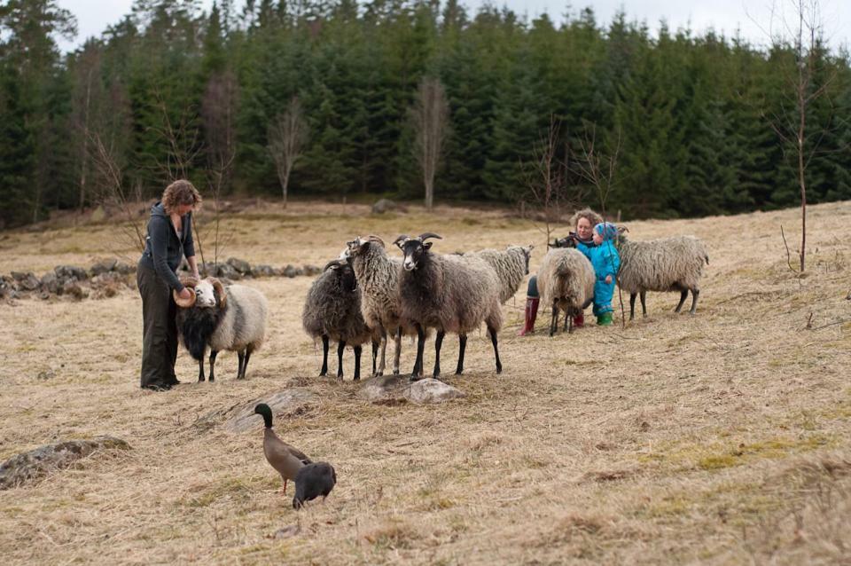 Escape To Paulssonpaleo Panzió Simlångsdalen Kültér fotó